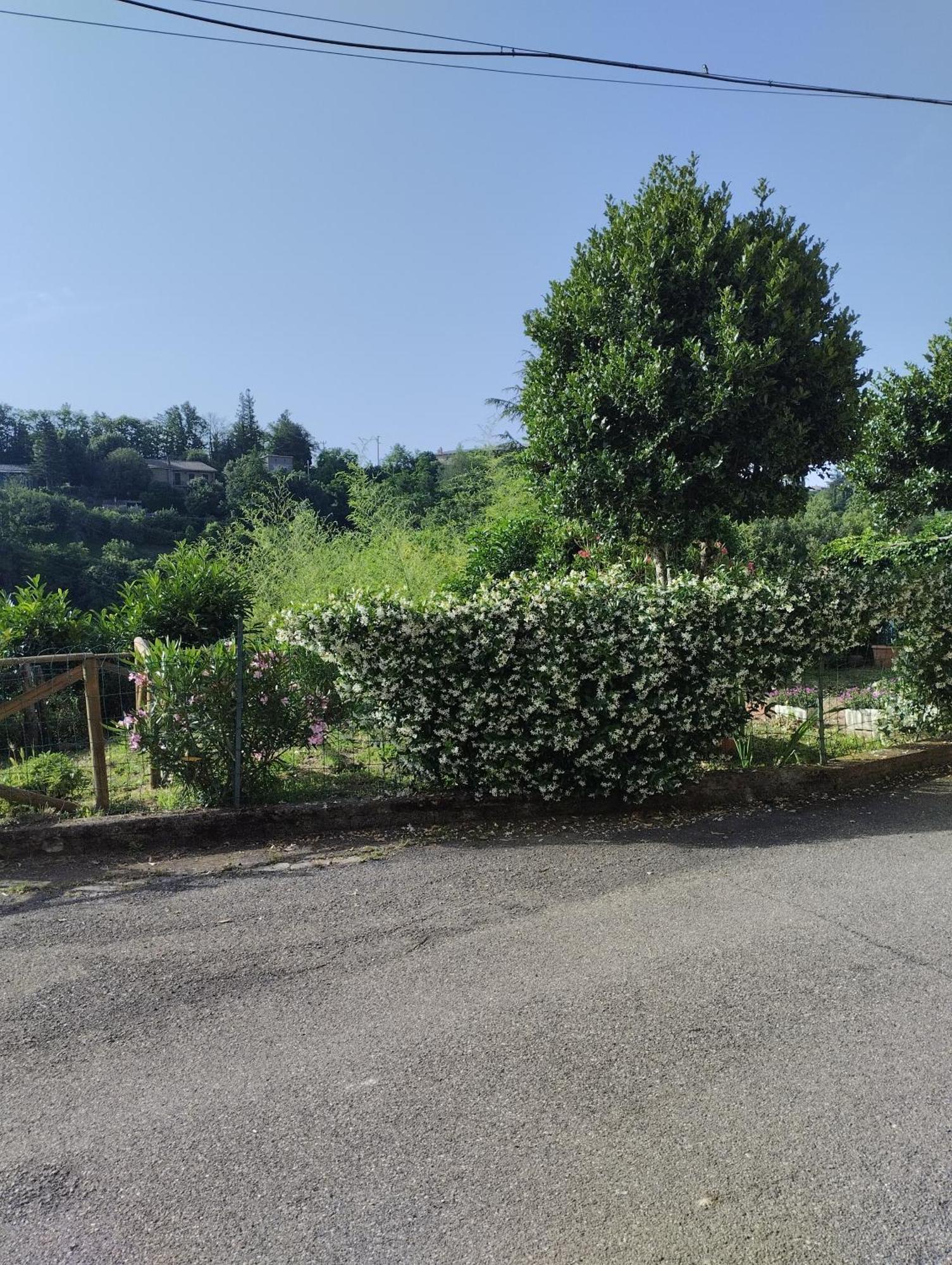 Casavacanzetorresansevero Orvieto Luaran gambar